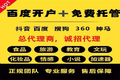 某某SEM服务公司成功案例：从数据出发的营销策略